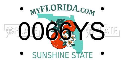 0066YS Florida License Plate