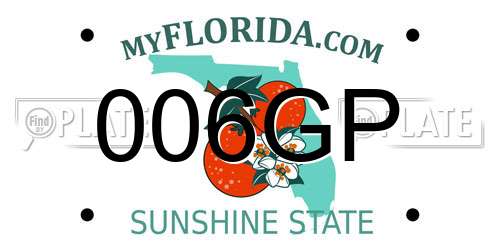 006GP Florida License Plate