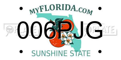 006PJG Florida License Plate