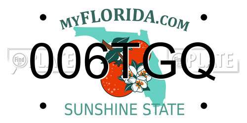 006TGQ Florida License Plate