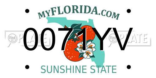0071YV Florida License Plate