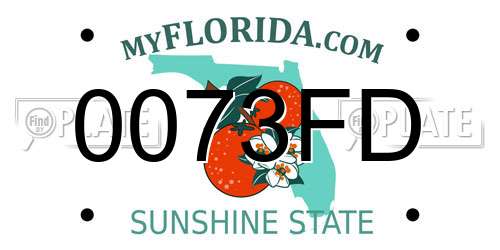 0073FD Florida License Plate