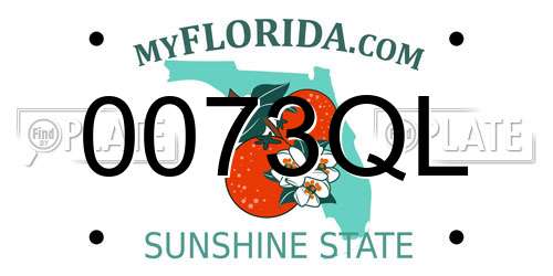 0073QL Florida License Plate