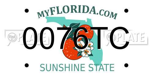 0076TC Florida License Plate