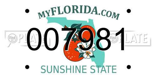 007981 Florida License Plate