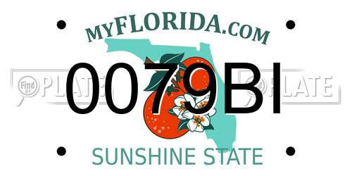 0079BI Florida License Plate