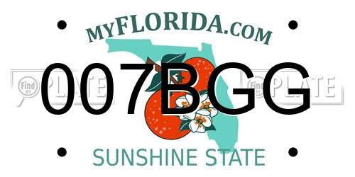 007BGG Florida License Plate