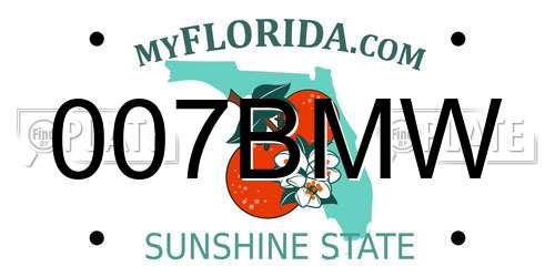 007BMW Florida License Plate