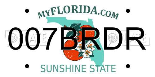 007BRDR Florida License Plate