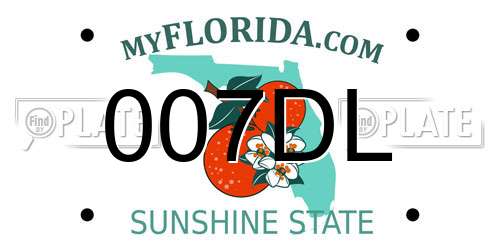 007DL Florida License Plate