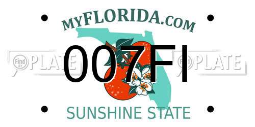 007FI Florida License Plate