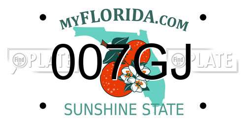 007GJ Florida License Plate