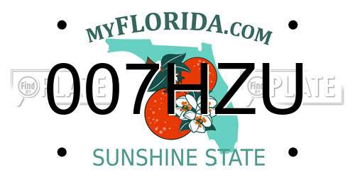 007HZU Florida License Plate