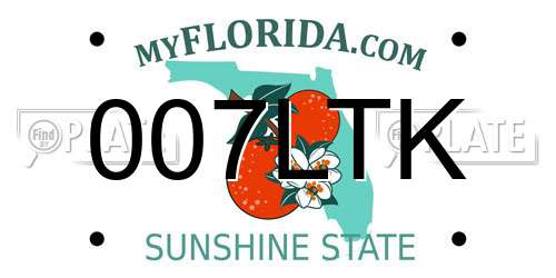 007LTK Florida License Plate