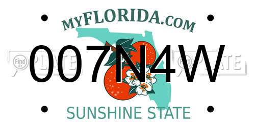 007N4W Florida License Plate