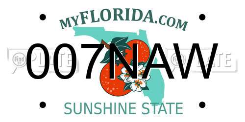 007NAW Florida License Plate