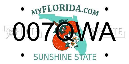 007QWA Florida License Plate