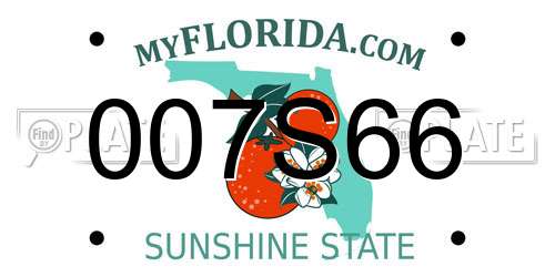 007S66 Florida License Plate