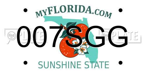 007SGG Florida License Plate