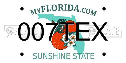 007TEX Florida License Plate