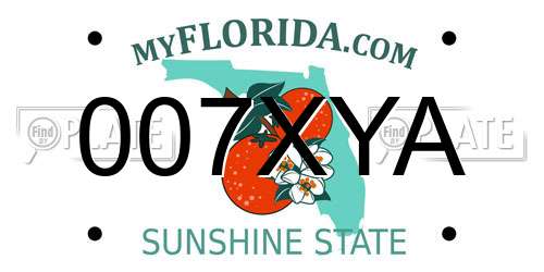 007XYA Florida License Plate