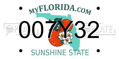 007Y32 Florida License Plate