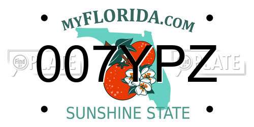 007YPZ Florida License Plate