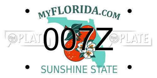 007Z Florida License Plate