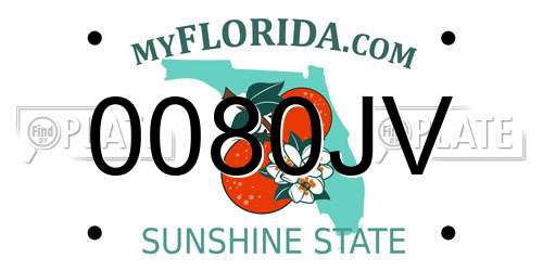 0080JV Florida License Plate