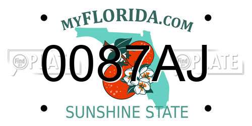 0087AJ Florida License Plate