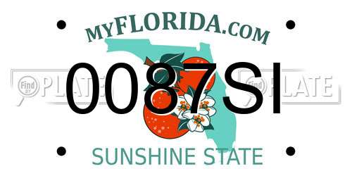 0087SI Florida License Plate