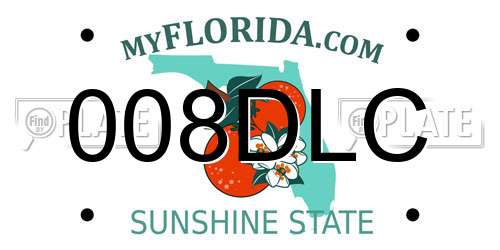 008DLC Florida License Plate