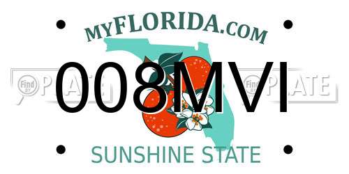 008MVI Florida License Plate