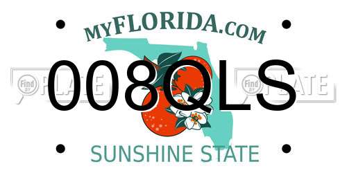 008QLS Florida License Plate