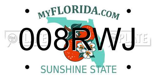 008RWJ Florida License Plate