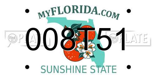 008T51 Florida License Plate