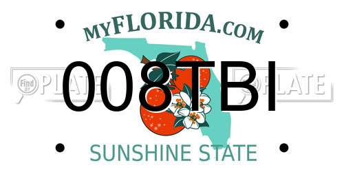 008TBI Florida License Plate