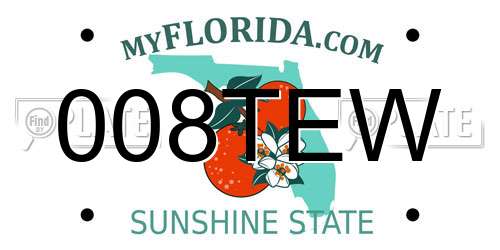 008TEW Florida License Plate