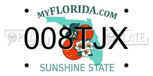 008TJX Florida License Plate