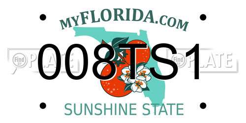 008TS1 Florida License Plate