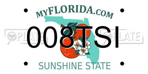 008TSI Florida License Plate