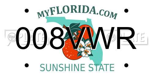 008VWR Florida License Plate