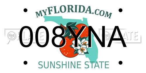 008YNA Florida License Plate