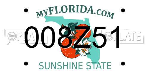 008Z51 Florida License Plate