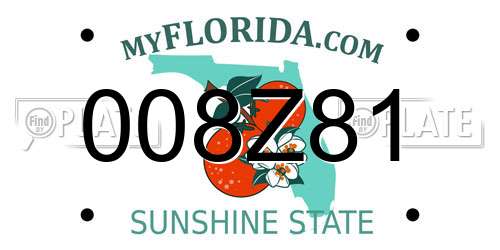 008Z81 Florida License Plate