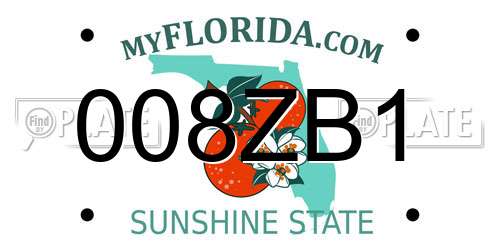 008ZB1 Florida License Plate