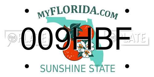 009HBF Florida License Plate