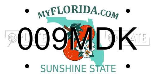 009MDK Florida License Plate