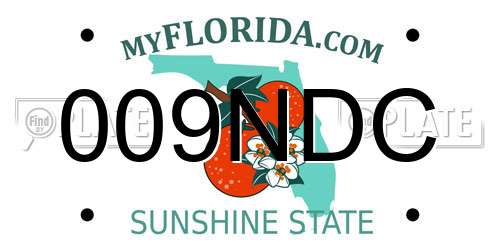 009NDC Florida License Plate