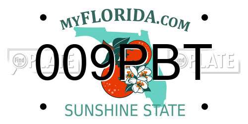 009PBT Florida License Plate